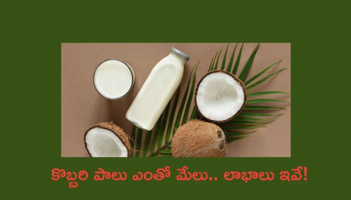 Coconut Milk: సాధారణ పాల కంటే ఈ కొబ్బరి పాలు ఎంతో మేలు! లాభాలు ఇవే..