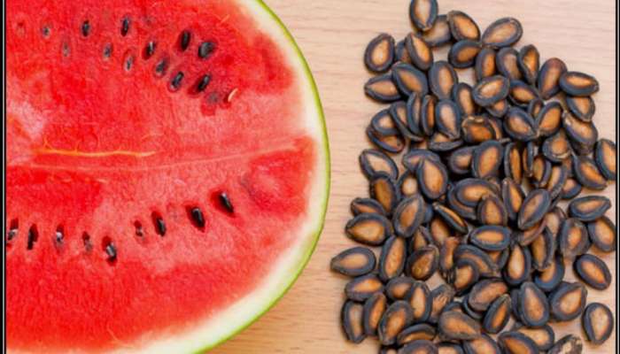 Watermelon Seeds: పుచ్చకాయ గింజలు పోషకాలకు పవర్ హౌస్‌.. మీకు ఈ విషయం తెలుసా?