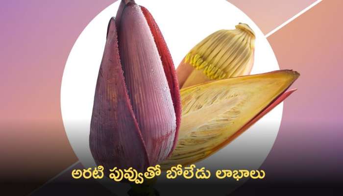 Benefits Of Banana Flower: అరటి పండు మాత్రమే కాదు అరటి పువ్వుతో కూడా ఎన్నో ఆరోగ్య లాభాలు.!