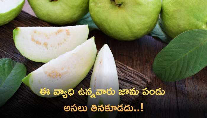Guava Fruit: ఈ వ్యాధి ఉన్నవారు జామ పండు అసలు తినకూడదు..!