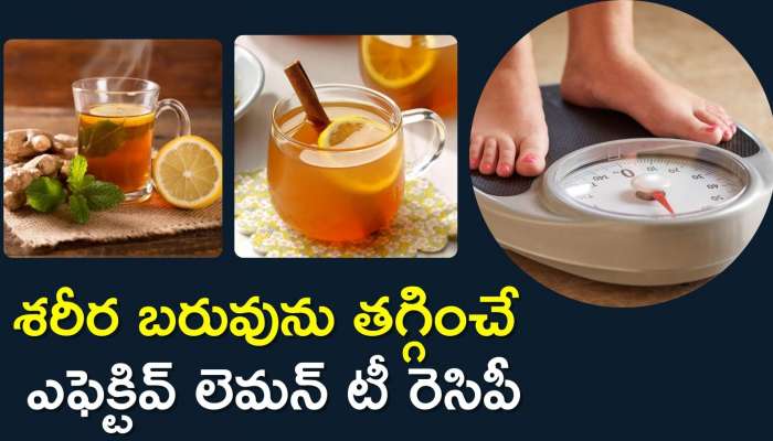 Lemon Tea Recipe: శరీర బరువును తగ్గించే ఎఫెక్టివ్ లెమన్ టీ రెసిపీని ఇలా తయారు చేసుకోండి..