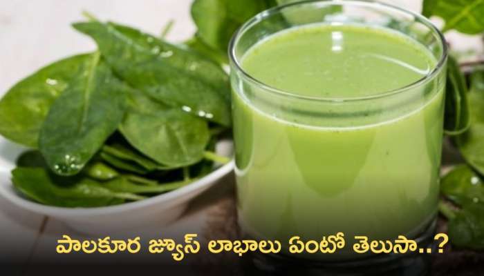 Spinach Juice: పాల‌కూర జ్యూస్‌ తీసుకోవడం వల్ల కలిగే లాభాలు ఏంటో తెలుసా..?