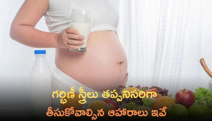 Foods For Pregnant Women: గర్భిణీ స్త్రీలు రోజూ తప్పనిసరిగా తీసుకోవాల్సిన ఆహారాలు ఇవే..
