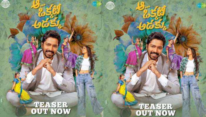 Allari Naresh: 'ఆంటీ అయితే.. ఎవరైతే ఏంటి కావాల్సింది పెళ్లి: 'ఆ ఒక్కటీ అడక్కు' టీజర్‌
