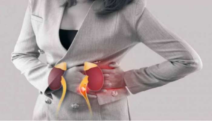 Kidney Disease Causes: కిడ్నీ వ్యాధులు ఉత్తరాదివారిలోనే ఎక్కువగా ఉంటున్నాయా, కారణమేంటి