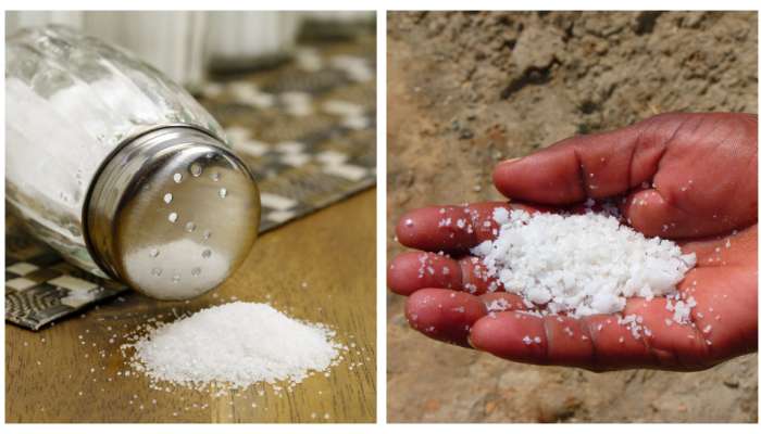 Rock Salt vs Table Salt: రాక్ సాల్ట్‌- సాధారణ ఉప్పు మీ ఆరోగ్యానికి ఏది మంచిది? 