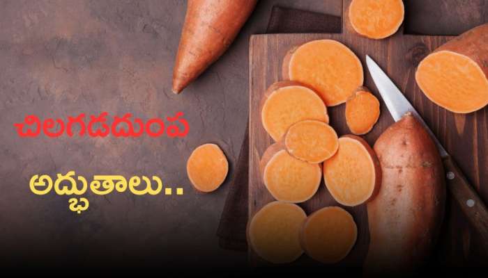 Sweet Potato: చిలగడదుంప అద్భుతాలు.. దీని లాభాలు తెలుస్తే అసలు వదలరు !