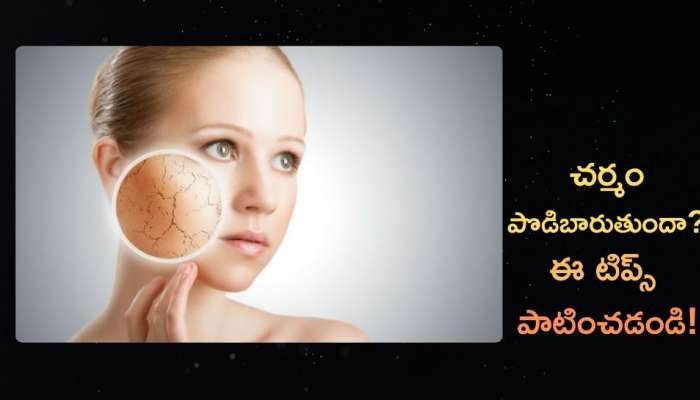 Dry Skin Care Tips: మీ చర్మం పొడిబారుతుందా? అయితే ఈ చిట్కాలు ట్రై చేయండి..