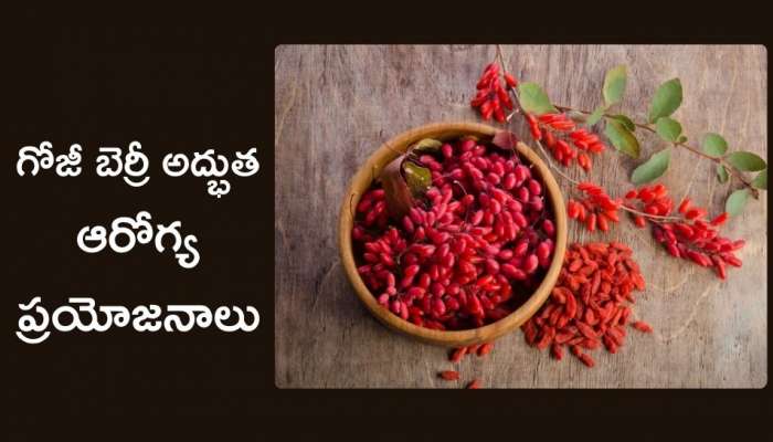 Goji Berry: గోజీ బెర్రీ  అద్భుత ఆరోగ్య ప్రయోజనాలు