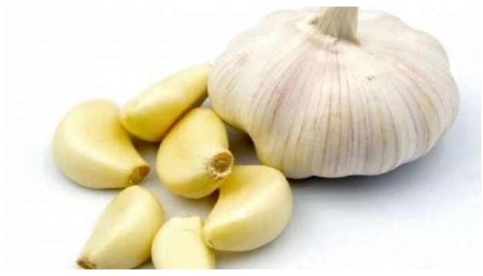Garlic Health Benefits: వెల్లుల్లి సీక్రెట్ తెలిస్తే అస్సలు వదలరు..రోజూ ఒక్కసారి ఇలా తిని చూడండి..