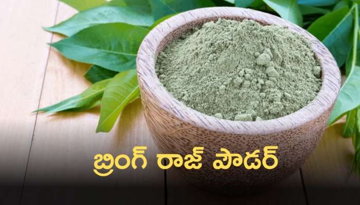 Bhringraj Powder: బ్రింగ్ రాజ్ పౌడర్ తో కాలేయ సమస్యలకు చెక్‌!