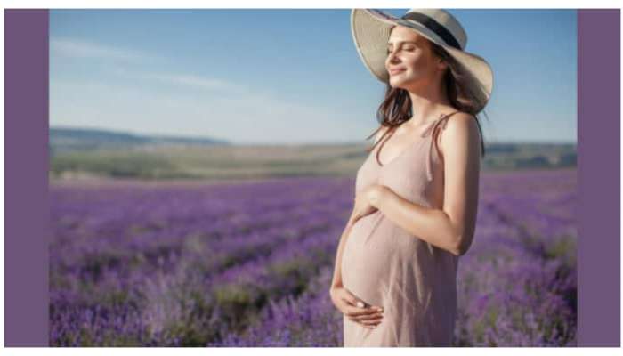 Pregnancy Tips: ప్రెగ్నెన్సీ ఉన్న మహిలలు ఈ ఫుడ్ తింటే బిడ్డ ఎదుగుదల ఆరోగ్యంగా ఉంటుంది..