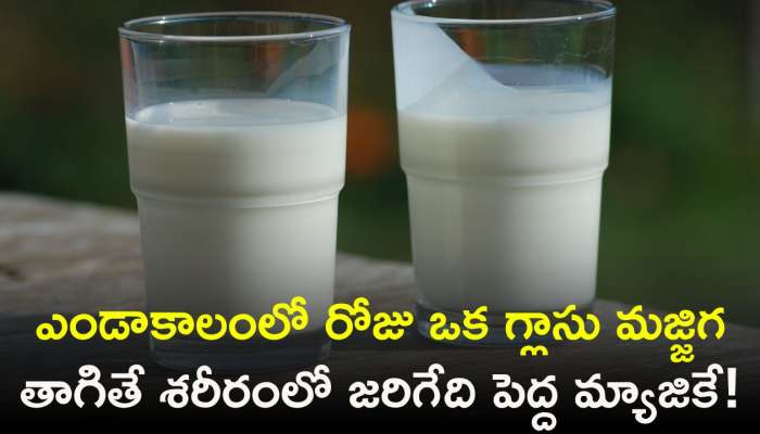 Butter Milk Benefits 2024: ఎండాకాలంలో రోజు ఒక గ్లాసు మజ్జిగ తాగితే శరీరంలో జరిగేది పెద్ద మ్యాజికే!