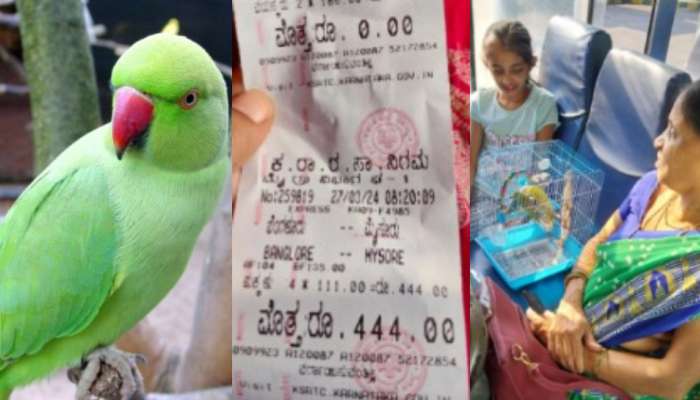 Bus Ticket For Parrots: ఇదేం విడ్డూరం.. చిలుకలకు రూ. 444  టికెట్ కొట్టిన కండక్టర్..