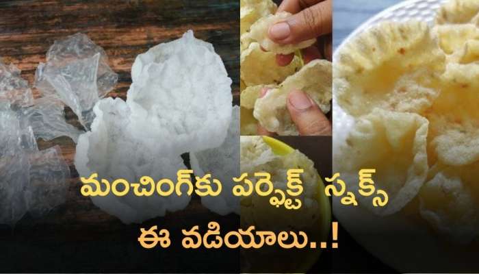 Saggubiyyam Vadiyalu: పప్పు, చారు మంచింగ్‌కు పర్ఫెక్ట్  స్నక్స్ ఈ వడియాలు..!