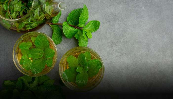 Mint Leaves Uses: పుదీనా ఆకులతో కలిగే ఉపయోగాలు ఏంటో తెలుసా?
