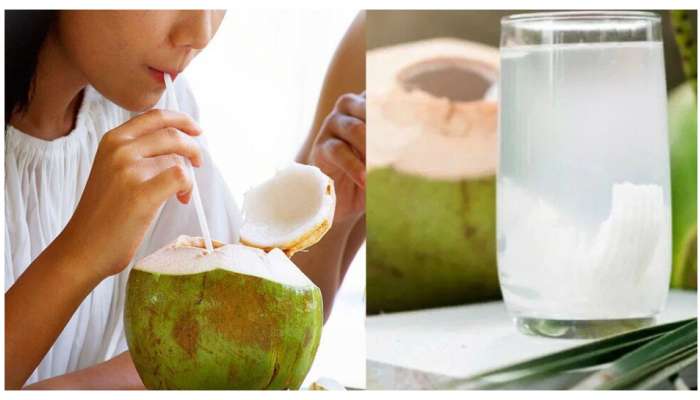 Right Time To Drink Coconut Water: కొబ్బరిబోండం తాగడానికి సరైన సమయం ఏది?