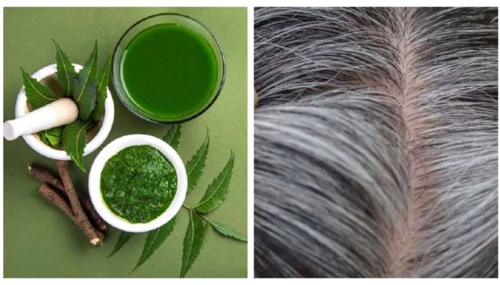 Gray Hair Remedy: ఈ నీళ్లు స్ప్రే చేస్తే చాలు.. తెల్లవెంట్రుకలు నల్లగా, ఒత్తుగా పెరుగుతాయి..