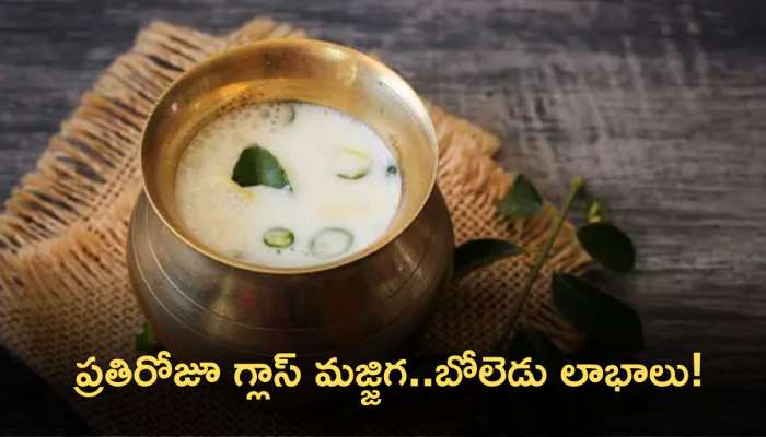 Benefits Of Consuming Buttermilk Daily: ప్రతిరోజూ గ్లాస్‌ మజ్జిగ తీసుకోవడం వల్ల కలిగే లాభాలు