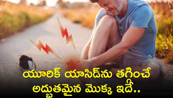 Gout Pain Relief | Zee News Telugu