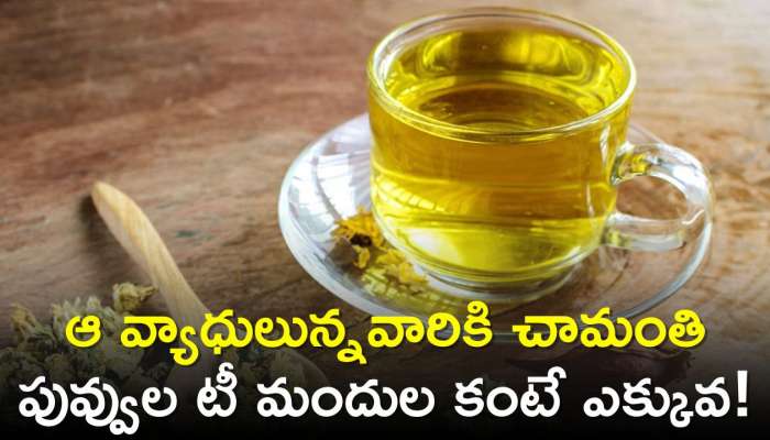 Chrysanthemum Tea: ఆ వ్యాధులున్నవారికి చామంతి పువ్వుల టీ మందుల కంటే ఎక్కువ!