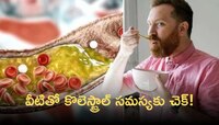 కొలెస్ట్రాల్ ను ఐస్‌లా కరిగించే ఆహారపదార్థాలు ఇవే..!