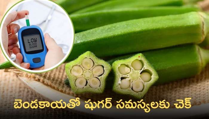 Ladies Finger Benefits  For Diabetes: బెండకాయతో షుగర్‌ సమస్యలకు చెక్‌ పెట్టవచ్చు..!