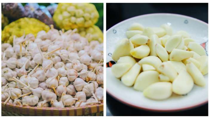 Garlic for Weight Loss: వెల్లుల్లితో వారంలో 3 కిలోలు ఈజీగా తగ్గొచ్చు.. ఎలాగో తెలుసా?