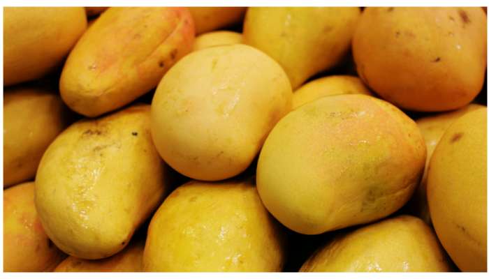 Find Sweet Mangoes: మామిడిపండు తీయ్యగా ఉన్నది ఇలా గుర్తించి కొనుగోలు చేయండి..