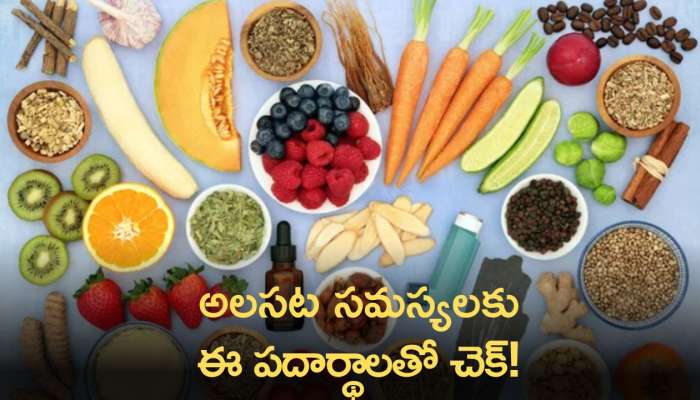 Summer Energy Foods: వేసవిలో కలిగే అలసటకు ఈ పదార్థలతో  చెక్‌ పెట్టవచ్చు !