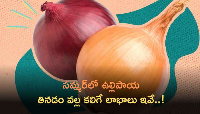 Onion Health Benefits: సమ్మర్‌లో ఉల్లిపాయ తింటే ఎన్ని లాభాలు తెలుసా..!