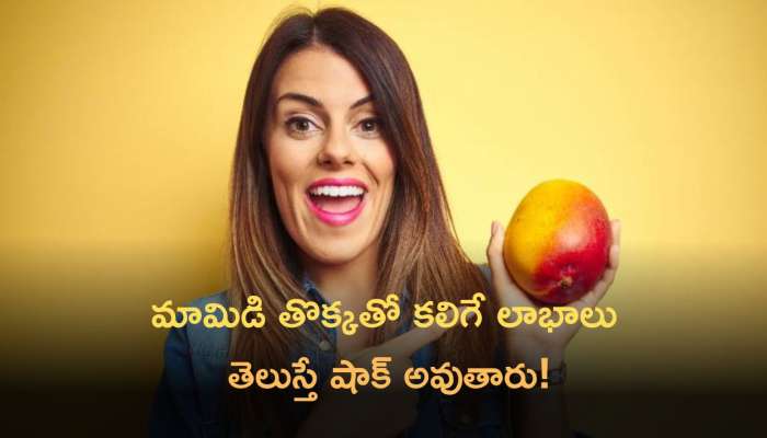 Mango Peel Uses: తొక్కే కదా అని పడేస్తే బోలెడు ఆరోగ్య ప్రయోజనాలను మిస్ చేసుకోవడమే !