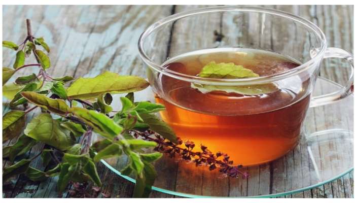 Tulasi Tea Health Benefits: ప్రతిరోజు తులసి టీ తాగితే కళ్లు చెదిరే  ఆరోగ్య ప్రయోజనాలు..