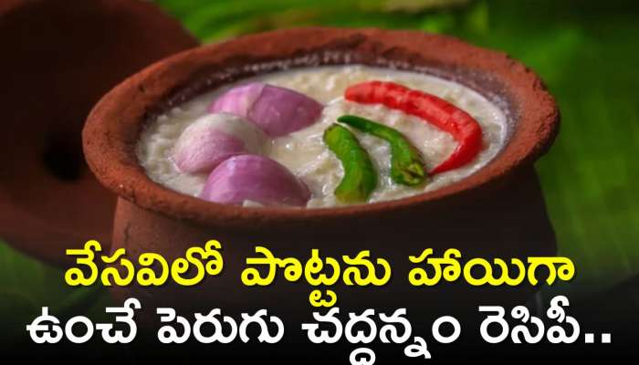 Chaddannam Recipe: వేసవిలో పొట్టను హాయిగా ఉంచే పెరుగు చద్దన్నం రెసిపీ.. 2 నిమిషాల్లో తయారు చేసుకోండి..