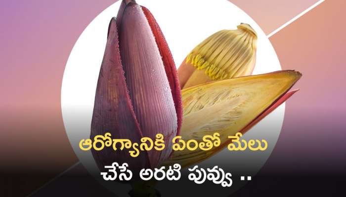 Banana Flower: ఆరోగ్యానికి ఏంతో మేలు చేసే అరటి పువ్వు .. లాభాలు తెలిస్తే ఆశ్చర్యపోతారు