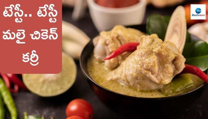 Malai Chicken Curry: రుచికరమైన క్రీమీ మలై చికెన్ కర్రీ రిసిపీ ఎలా తయారు చేసుకోవాలి?