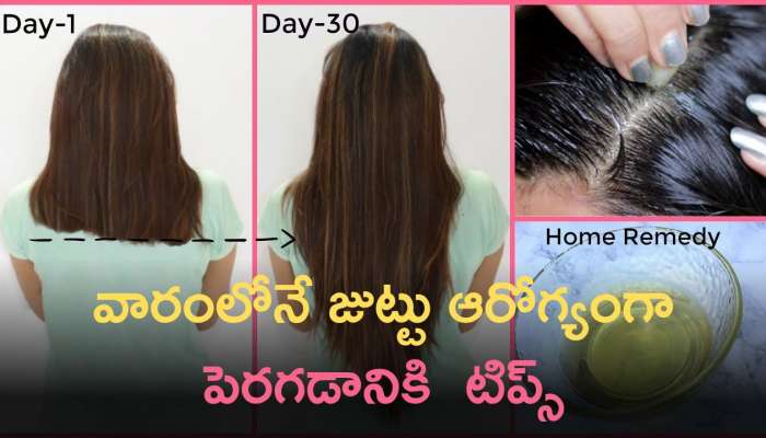 Healthy Hair Tips: వారంలోనే జుట్టు ఆరోగ్యంగా పెరగడానికి ఈ టిప్స్ ఎంతో ఉపయోగపడుతాయి..