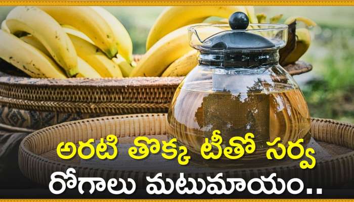 Banana Peel Tea Benefits: అరటి తొక్క టీతో సర్వ రోగాలు మటుమాయం.. 