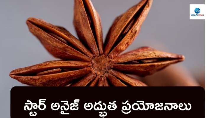 Star Anise Health Benefits: స్టార్‌ అనైజ్‌ తింటున్నారా? ఈ 7 ఆరోగ్య ప్రయోజనాలు పొందినట్లే..