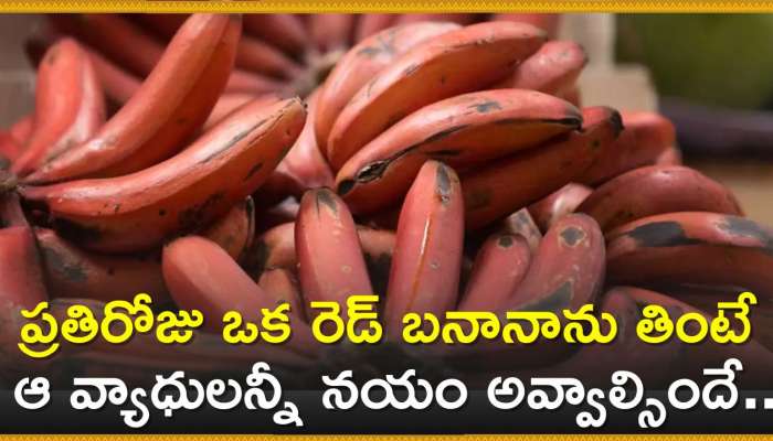 Red Banana Benefits: ప్రతిరోజు ఒక రెడ్ బనానాను తింటే ఆ వ్యాధులన్నీ నయం అవ్వాల్సిందే..