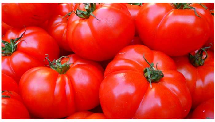 Tomatoes Benefits: పోషకాలు పుష్కలంగా ఉండే టమోటాలు.. లెక్కలేనన్ని ఆరోగ్య ప్రయోజనాలు..