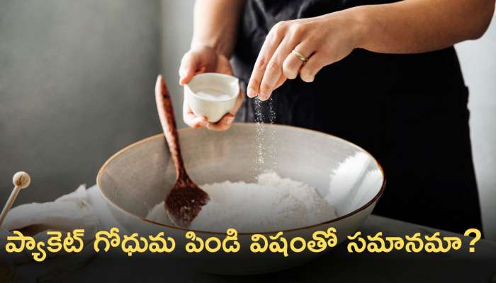 Side Effects Of Packed Wheat Flour: ప్యాకెట్ గోధుమ పిండి విషంతో సమానమా? రోగాలకు దారితీస్తుందా!