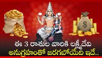 మే 19 నుంచి ఈ 3 రాశుల వారికి లక్ష్మీదేవి అనుగ్రహంతో జరగబోయేది ఇదే..