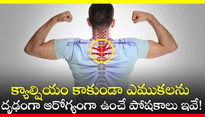 Vitamins For Strong Bones And Joints | Zee News Telugu