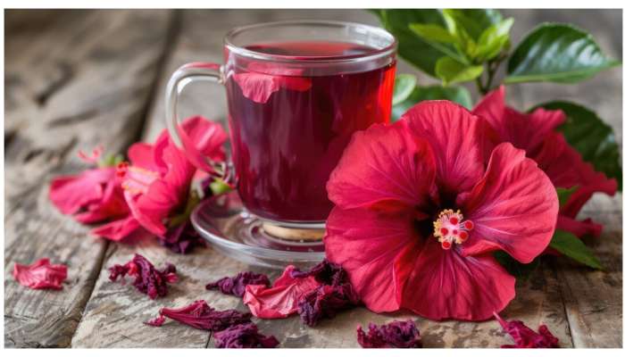 Hibiscus Tea Benefits: మందార టీ అంటే ఏమిటి? దీంతో ఏ ఆరోగ్య ప్రయోజనాలు ఉంటాయి?