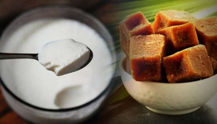 Immunity Booster: పెరుగులో బెల్లం వేసుకుని తిన్నారా? ఎన్ని ప్రయోజనాలో తెలిస్తే షాక్