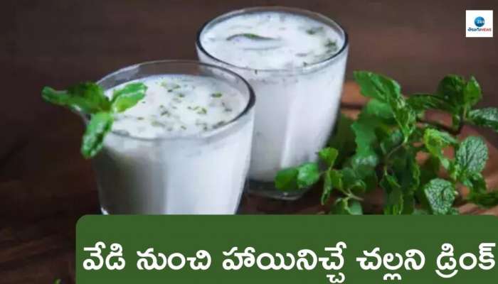 Gujarat Day 2024 Recipe: వేసవి వేడి నుంచి ఉపశమనాన్ని ఇచ్చే చల్లచల్లని స్పైసీ గుజరాతీ స్పెషల్ డ్రింక్..