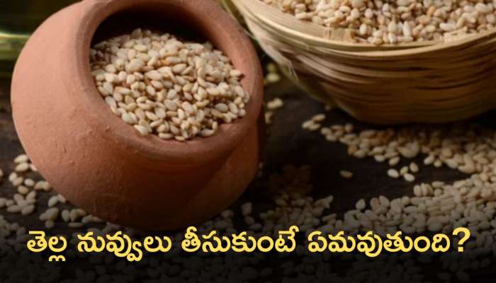 White Sesame Seeds Benefits: తెల్ల నువ్వులు తీసుకుంటే ఏమవుతుంది? కలిగే ప్రయోజనాలు ఇవే..!