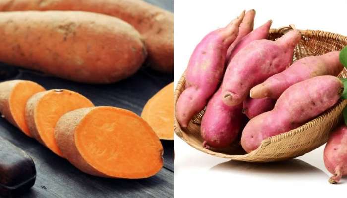 Sweet Potato Uses: చిలకడదుంపల వల్ల కలిగే  ఆరోగ్య ప్రయోజనాలు ఇవే..!