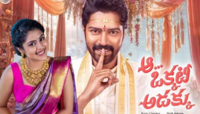 Aa Okkati Adakku Movie Review: 'ఆ ఒక్కటి అడక్కు' మూవీ రివ్యూ.. అల్లరి నరేష్ నవ్వులు పూయించాడా.. ?